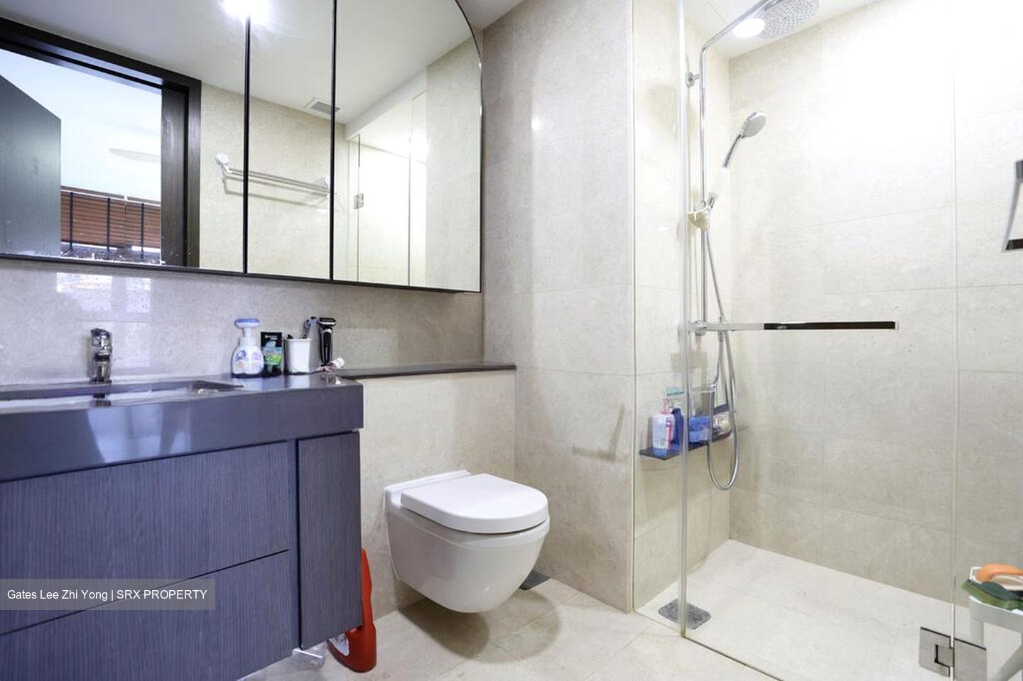 Avenue South Residence (D3), Apartment #507744121